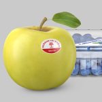 Fruit & Produce Labels